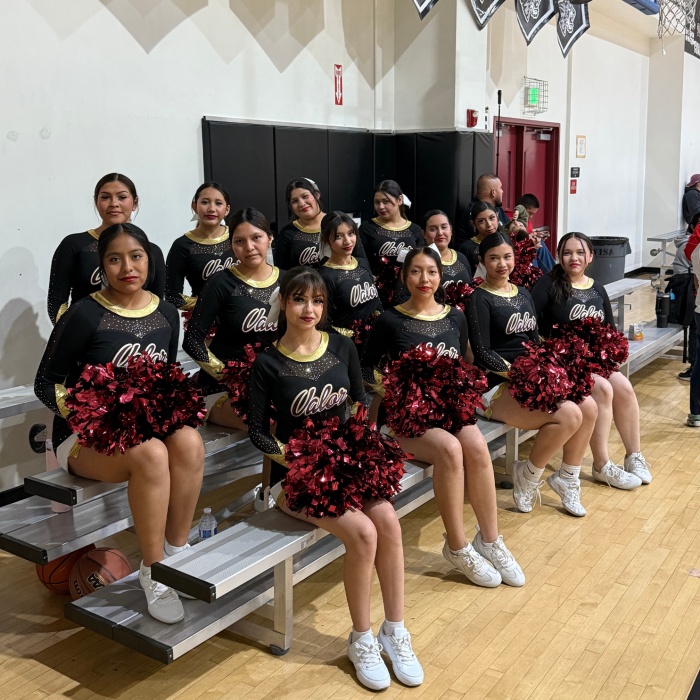 VAHS_Cheer.png